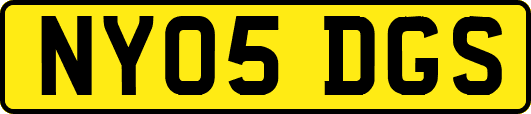 NY05DGS