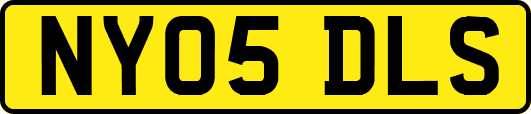 NY05DLS