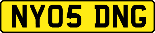 NY05DNG