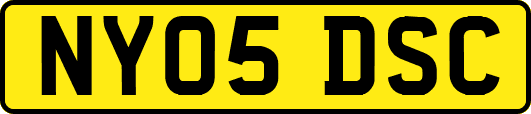 NY05DSC