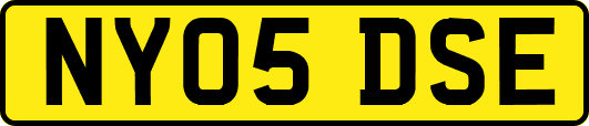 NY05DSE