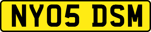 NY05DSM