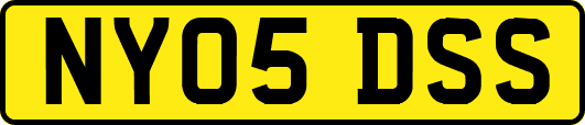 NY05DSS