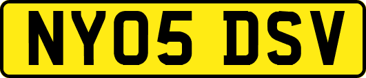 NY05DSV