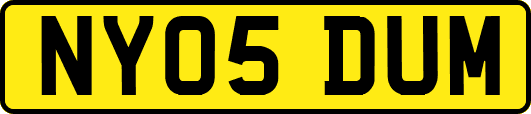 NY05DUM
