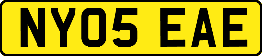 NY05EAE