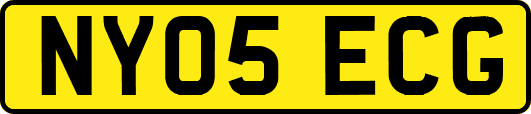 NY05ECG