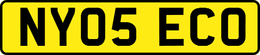 NY05ECO