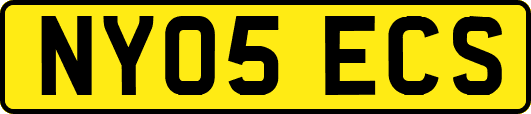 NY05ECS