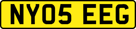 NY05EEG