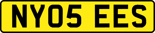 NY05EES