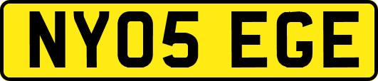 NY05EGE