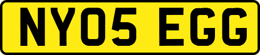 NY05EGG