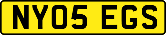 NY05EGS