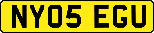 NY05EGU