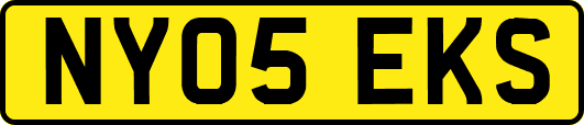 NY05EKS