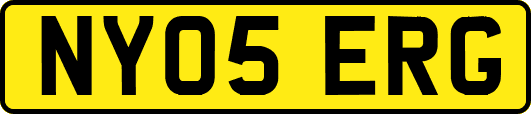 NY05ERG