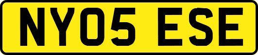 NY05ESE