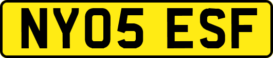 NY05ESF
