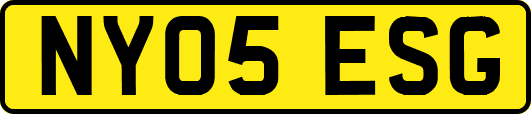 NY05ESG