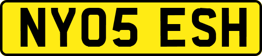 NY05ESH