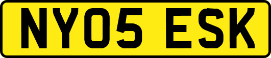 NY05ESK