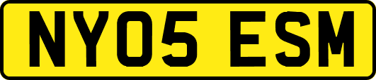 NY05ESM
