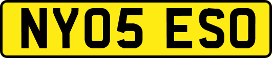 NY05ESO
