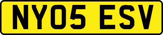 NY05ESV