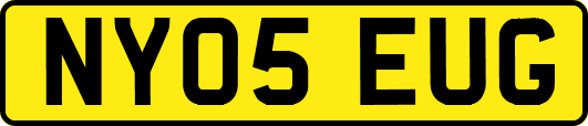 NY05EUG