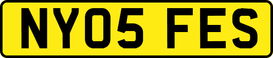 NY05FES
