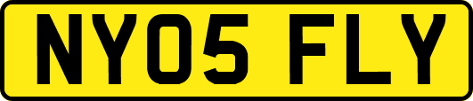 NY05FLY