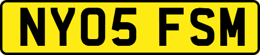 NY05FSM