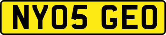 NY05GEO
