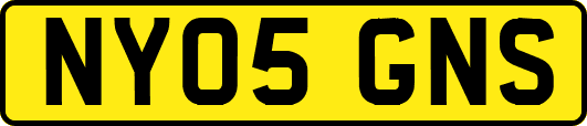 NY05GNS