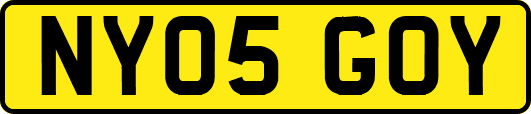 NY05GOY