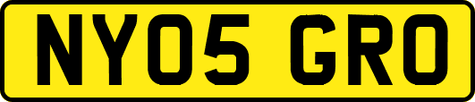 NY05GRO
