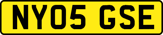 NY05GSE