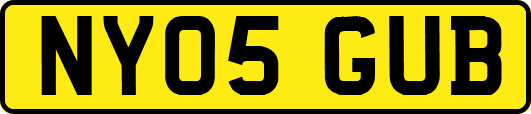 NY05GUB