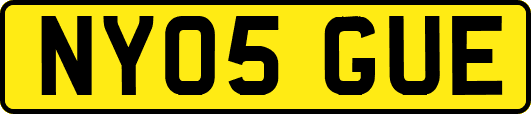 NY05GUE