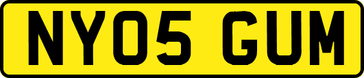NY05GUM