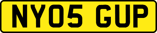 NY05GUP