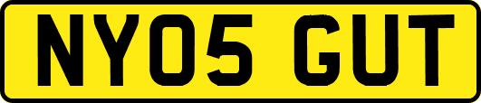 NY05GUT