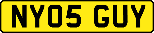 NY05GUY