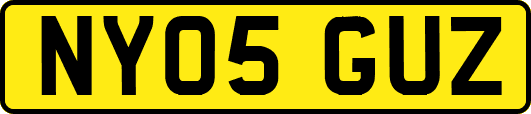NY05GUZ