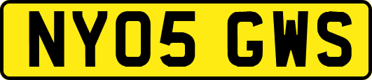 NY05GWS