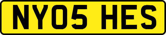NY05HES
