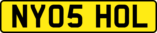 NY05HOL