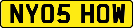 NY05HOW