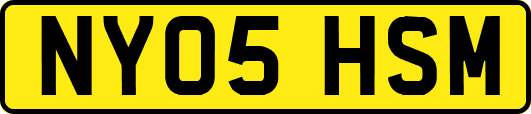 NY05HSM